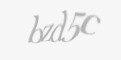 Codul de securitate