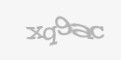 Codul de securitate