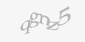 Codul de securitate