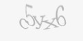 Codul de securitate